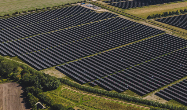 Print-Alight Ro dby-23