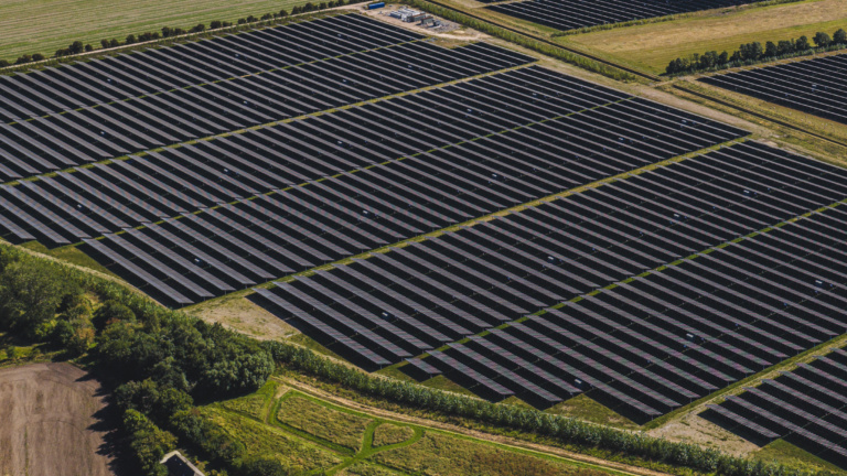 Print-Alight Ro dby-23