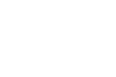 toyota-white