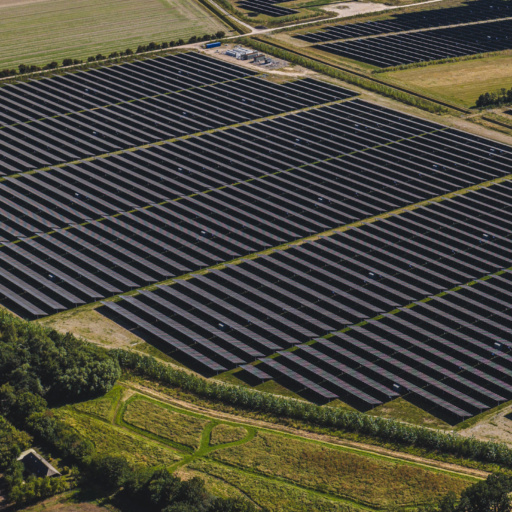 Print-Alight Ro dby-23