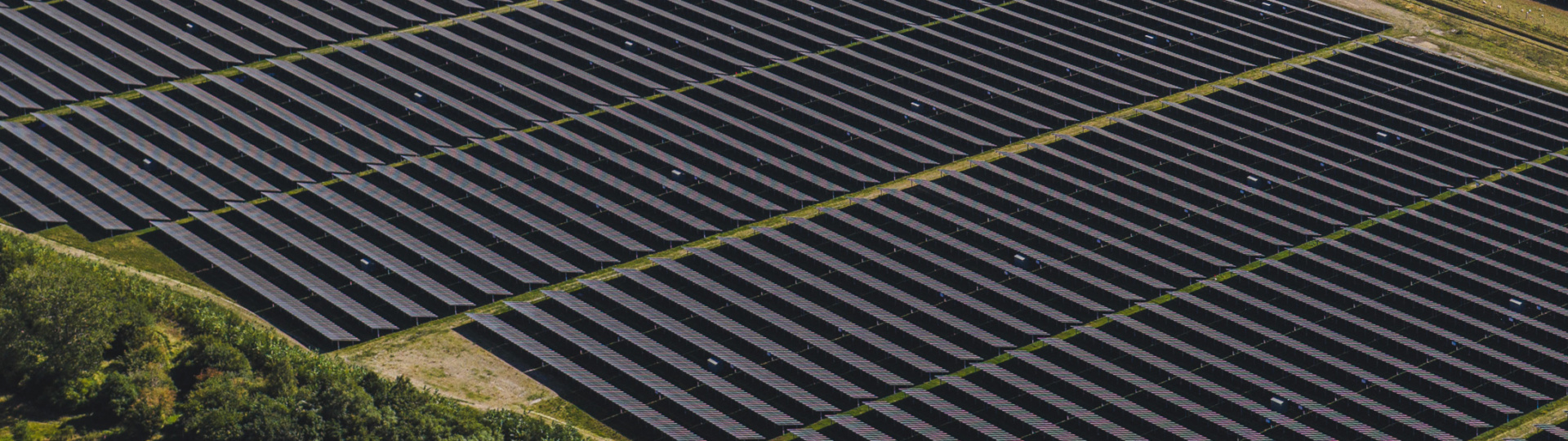 Print-Alight Ro dby-23